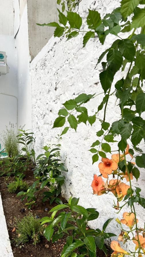 Μy Ηομε Apartment Chalkís Exterior foto